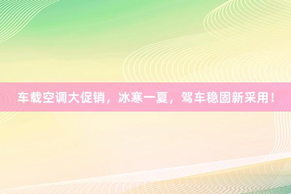车载空调大促销，冰寒一夏，驾车稳固新采用！